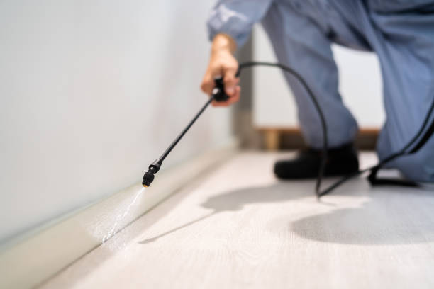 Rodent Entry Point Assessment in South Amherst