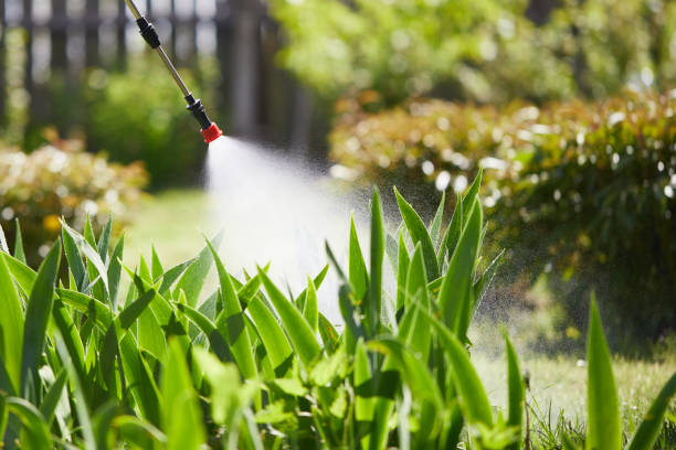 Tamper-Resistant Bait Stations for Rodents in South Amherst